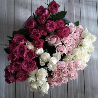 本日のみ限定生花国産バラ35cm60本