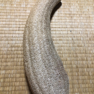 取引完了★乾燥 へちま