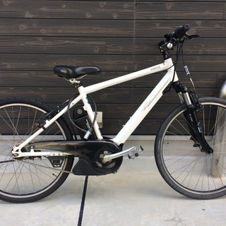 世界に一枚ミノケンタウロスpsa10 スタジオダイス