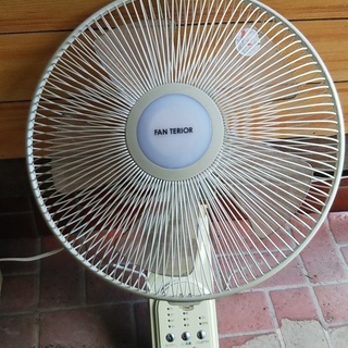 壁掛け型扇風機　YUASA YTW-382LR(LG)