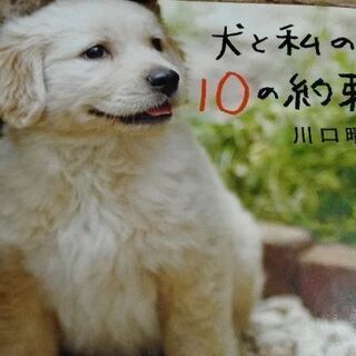 犬と私の10の約束　【ムベの本棚】文藝春秋