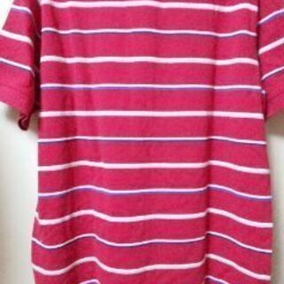 新品✨定価の85%OFF『Golden Bear』ポロシャツ  （Ｌ）タグ付き 3D  POLO　　再値下げの画像