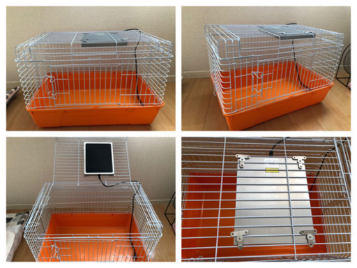 ハリネズミ　飼育セット