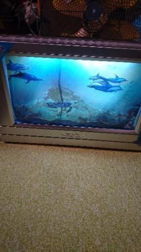 ☆取引中3Dバーチャルビジョン観賞☆