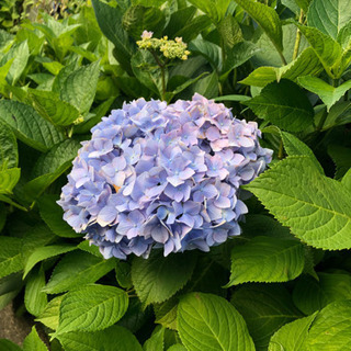 動画編集してくださる方を募集