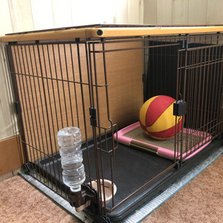 小型犬　ゲージ🍒