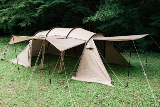 サバティカル　アルニカ(抽選販売限定)