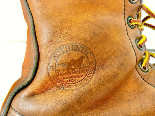 【お話中】REDWING   877  Irish Setter犬刻印