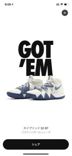 カイブリッドS2 即日発送