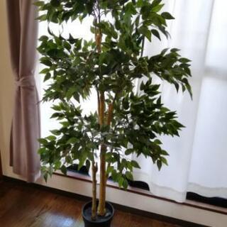 人工観葉植物（フェイク）