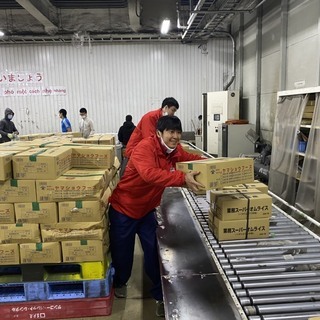 低温倉庫での出荷在庫調整.破損対応スタッフの募集の画像