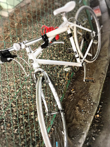 クロスバイク白WEEK END(size510)