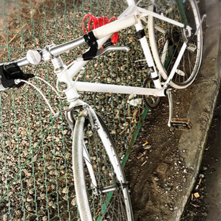 クロスバイク白WEEK END(size510)