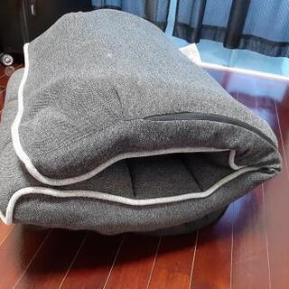 ニトリ座椅子　クション付き　の画像