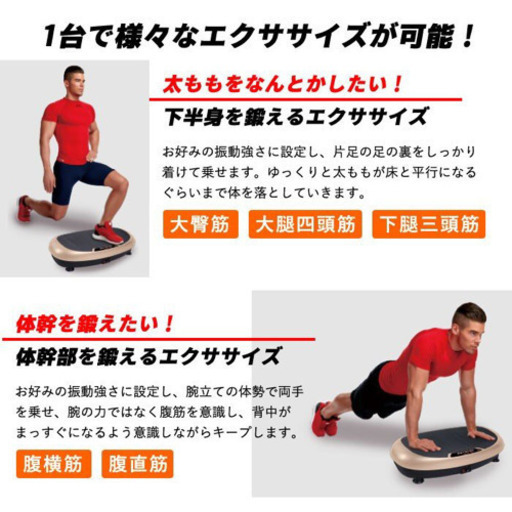 振動マシン　パワーウェーブミニ
