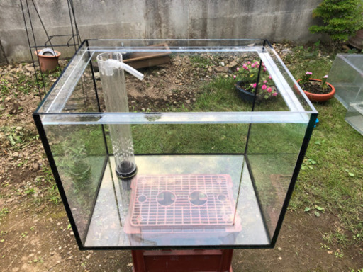 60cmワイド オーバーフロー水槽