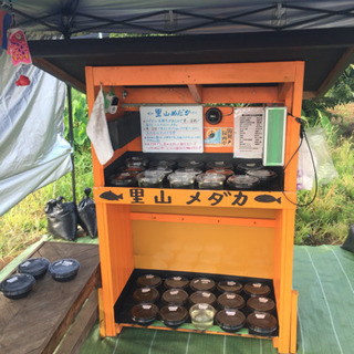 里山めだか メダカ無人販売所8/4