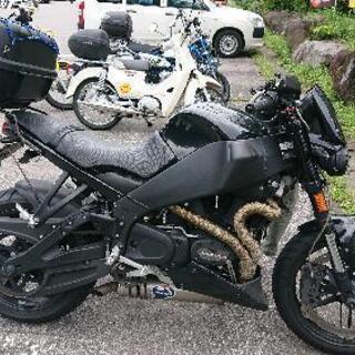 （再出品）ビューエル XB12ss 2009年モデル　ハーレーの画像