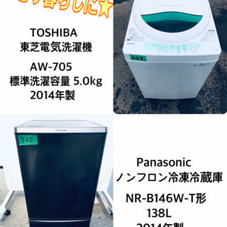 インペリアルゼブラプレコ ワイルド ペア！ブリード おまけ