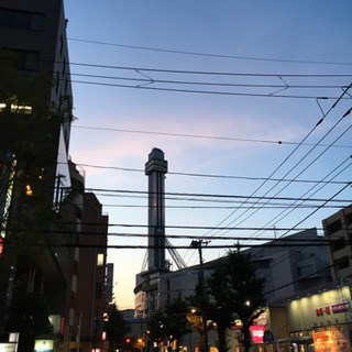 お散歩会
