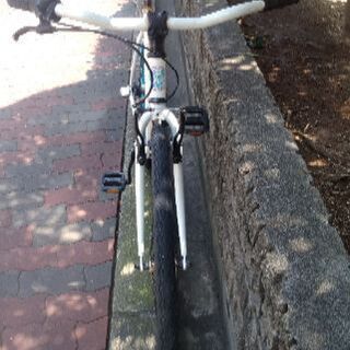 ?エスイーバイクス　トリプル