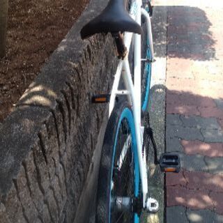 ?エスイーバイクス　トリプル
