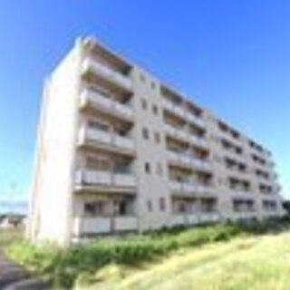 ペット相談（敷金1ヶ月）、室内洗濯機置場・エアコン2台・温水洗浄...