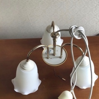 照明　