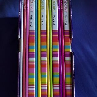 イネスシークレット 美容DVDセット 譲ります