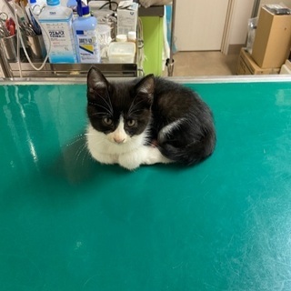生後2.5〜3か月 
