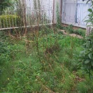 草むしりと草刈り作業！