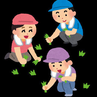 【大分県内】草刈り安く承ります！5000円〜 - 別府市