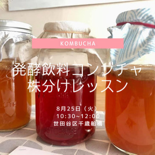 8/25発酵飲料コンブチャ 株分けレッスン