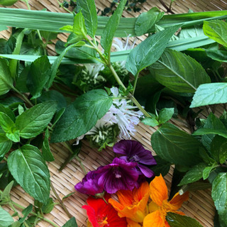 マスクスプレーとハーブバスソルトを作ろう！の画像