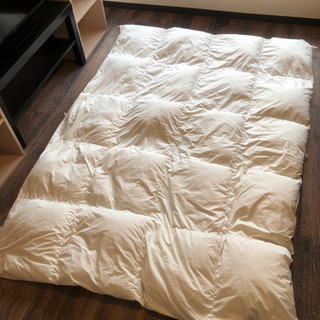 ニトリ　消臭羽毛布団　シングルサイズ　中古です！の画像