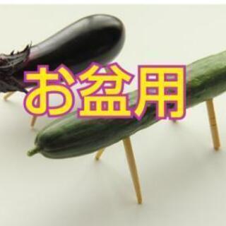 馬 牛 お盆用 (スーパーだと高そう‼️‼️)