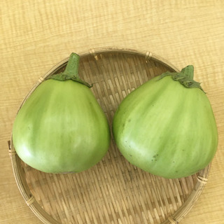幻の埼玉青茄子