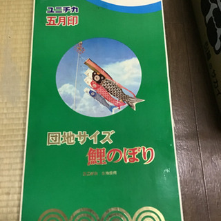 子供の日用鯉のぼり(団地サイズ)