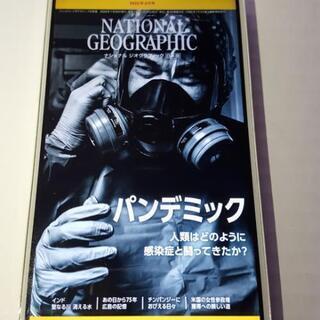 【カーナビ+ドライブレコーダー+セキュリティなど複数のおまけつき...