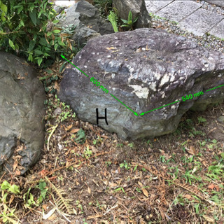 庭石差し上げます2