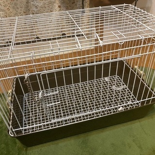 うさぎのハウス