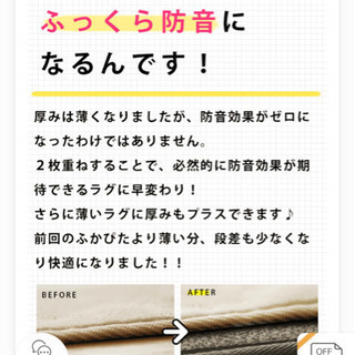 【今月限定！】半額‼️新品！アンダーラグマットの画像