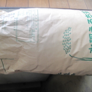 長野県産コシヒカリ令和6年度新米1等白米約30ｋｇ