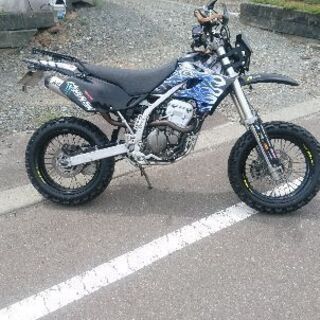 Ｄトラッカー250