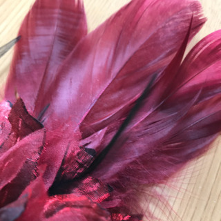 コサージュ　ワインカラー　羽根の画像