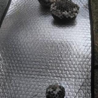 見積もり無料 ＃蜂の巣駆除 #草刈り 他 #便利屋作業、営繕作業もお気軽にお問い合わせ下さい  - 便利屋