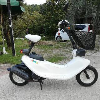 ズーク　ZOOK　 実働　キャンピングカーに乗ります