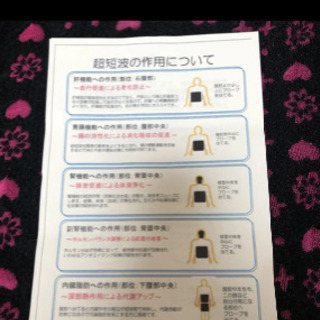 ビューティーインパクト SV