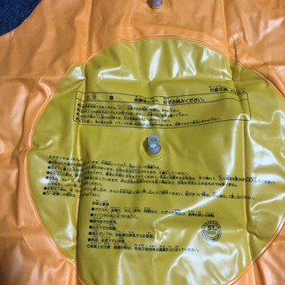 ポン・デ・ライオン柄ビニールバッグ&エアクッションの画像