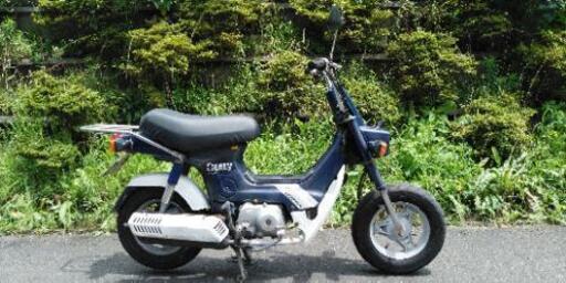 シャリー50　角目　(1223)